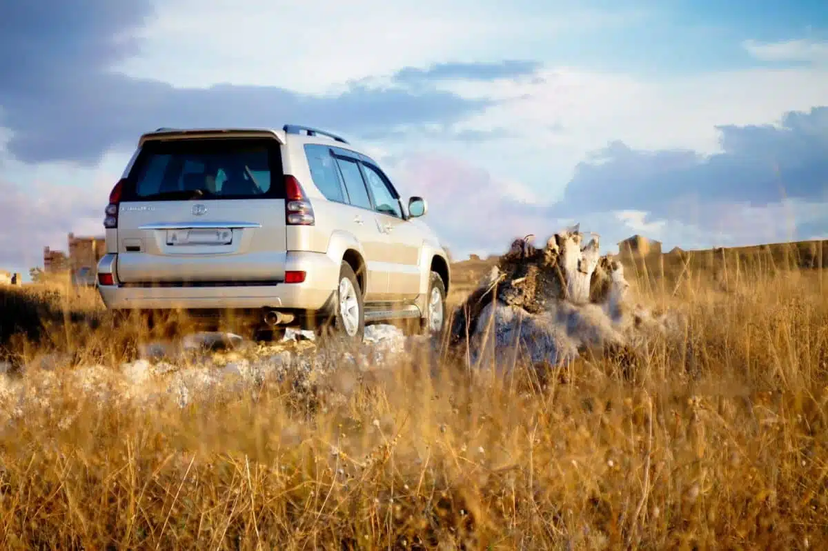 white suv on brown grass field during daytime